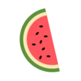 Logo Watermelon Hub