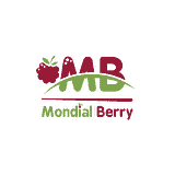 Logo Mondial Berry