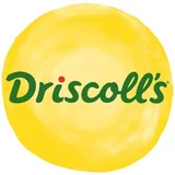 Logo Driscoll's