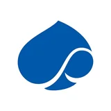 Logo Capgemini Engineering